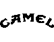 Camel Logo Icon